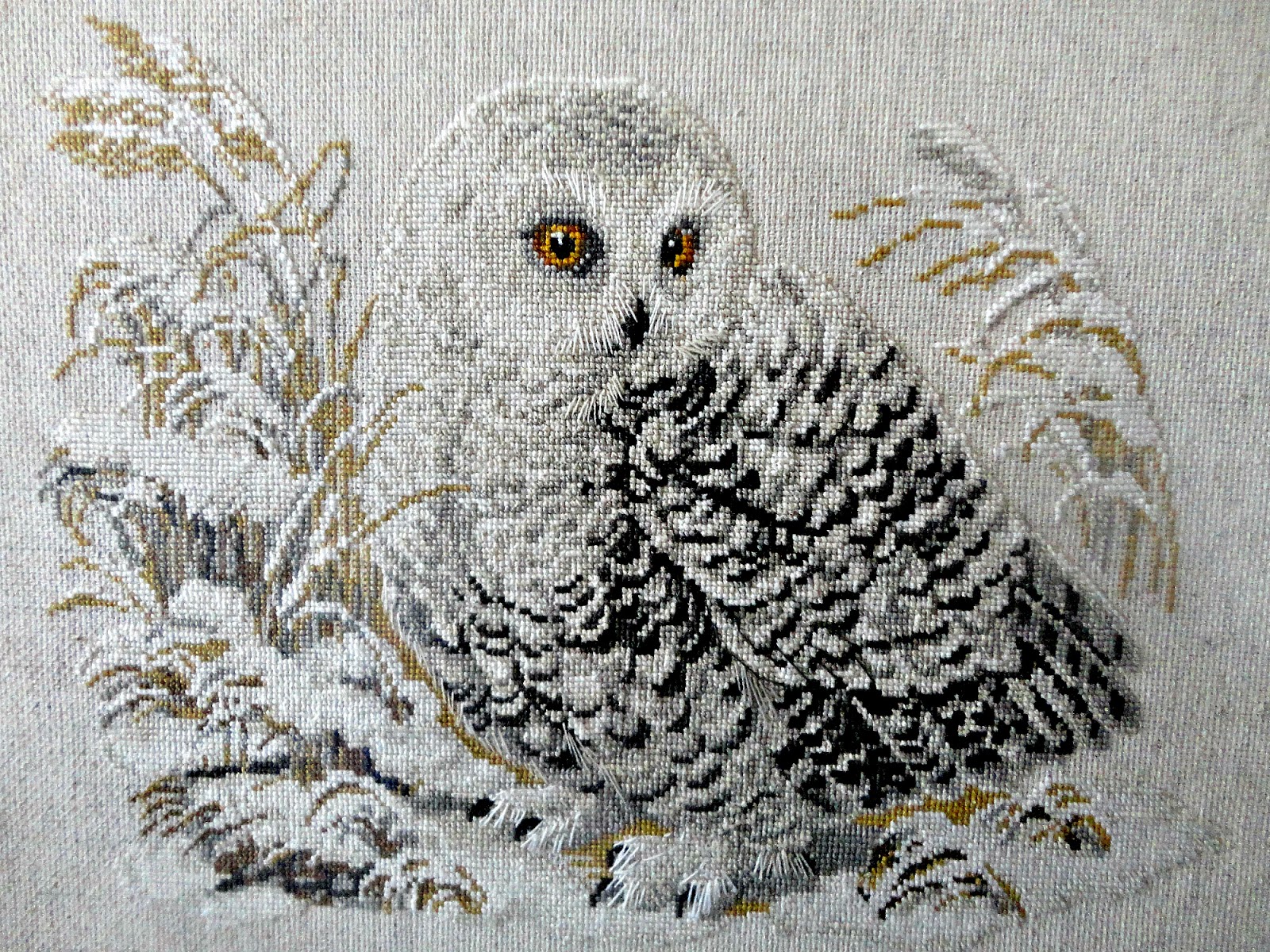 Сайт совиный лес бесплатные схемы официальный