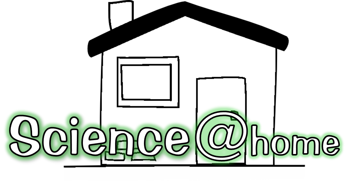 STEM@home | STEMSusan