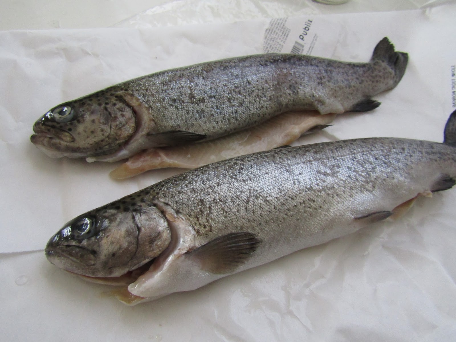 Maple Hill 101 Paper Trout