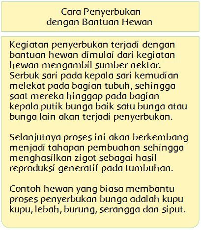 Perkembangbiakan Tumbuhan Dengan Bunga Halaman 6 Heart Id