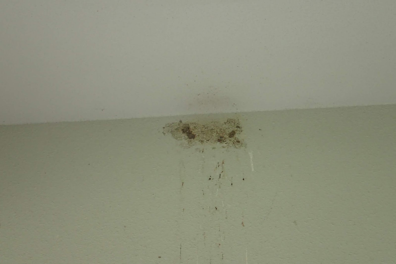 切腹：武士が実践していた自殺の儀式を知る