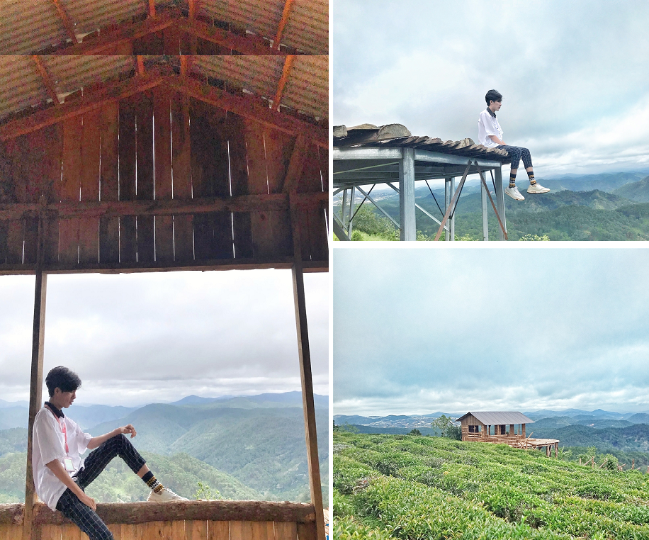 Check in cây cầu gỗ săn mây đà lạt ngay đồi chè Cầu Đất đẹp mê ly