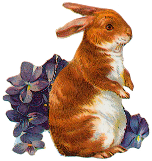 vintage rabbit clip art - photo #3
