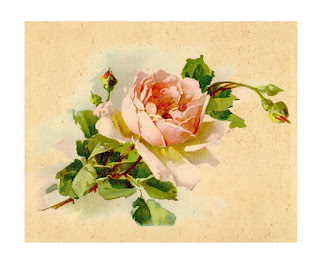 digital rose artwork clipart rose flower artwork image digital download iamge