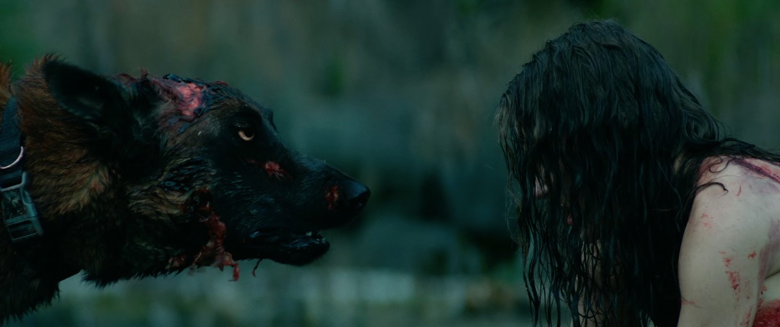 Taketwo Cabin Fever Remake 2016