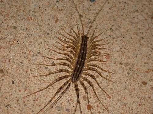 Desde las gavetas de mi escritorio: mayo 2012