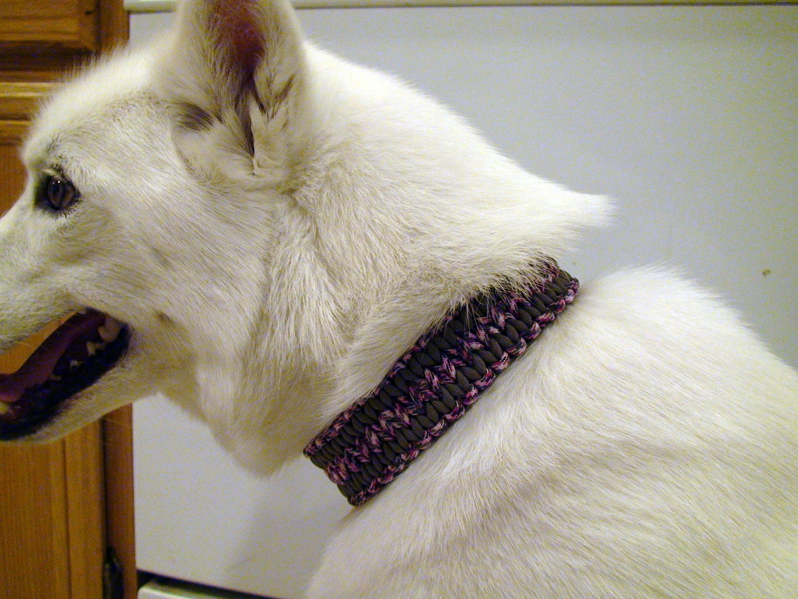 The Super Awesome Blog of Dogventuring Homemade Paracord Dog Collars
