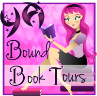 http://yaboundbooktours.blogspot.com/2014/07/tour-sign-up-stone-of-thieves-by-diane.html