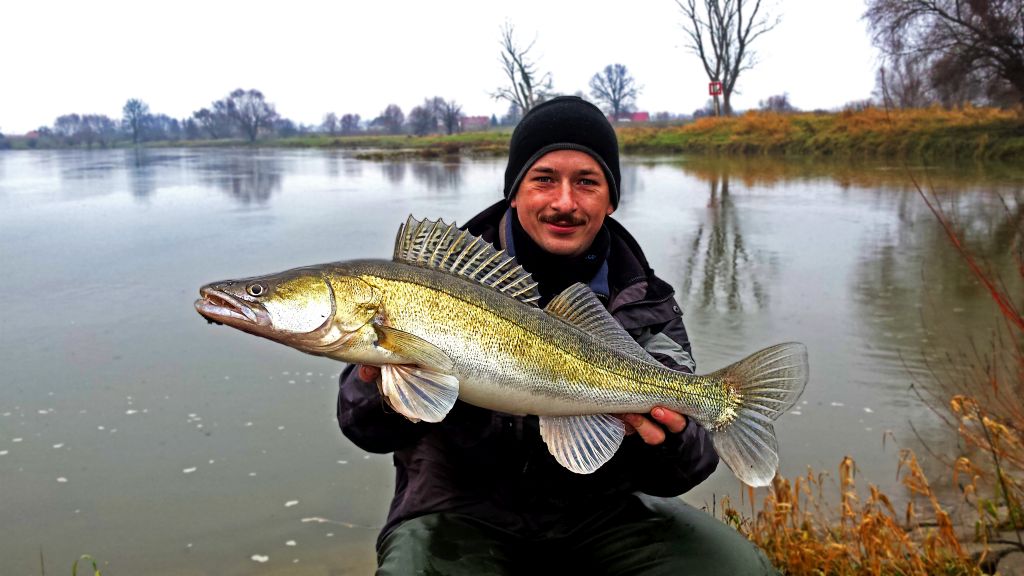 Fishing in Poland spinning, casting and flyfishing How to catch a