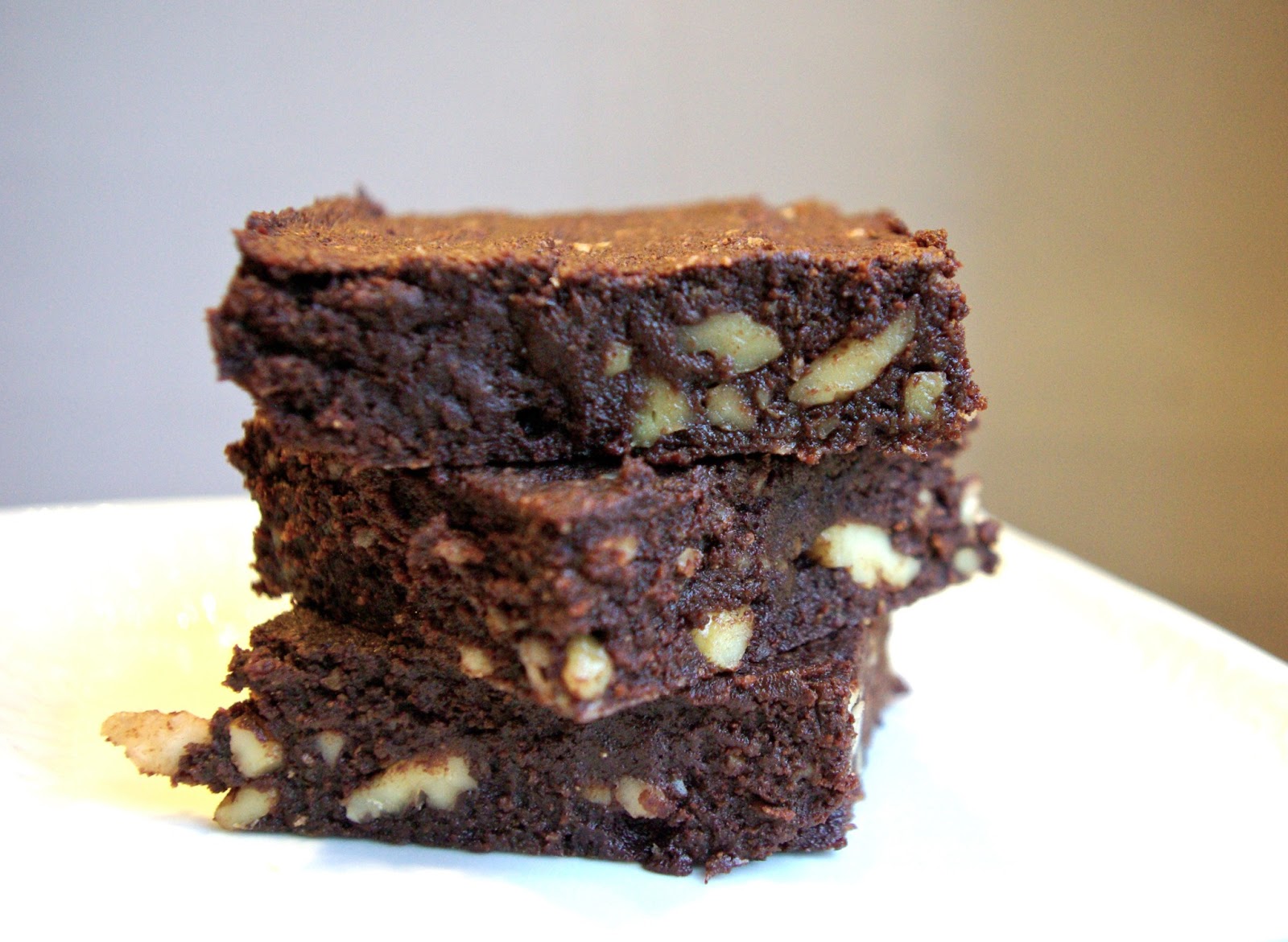 Sciuridae Coconut Flour Brownies (Primal/Paleo)
