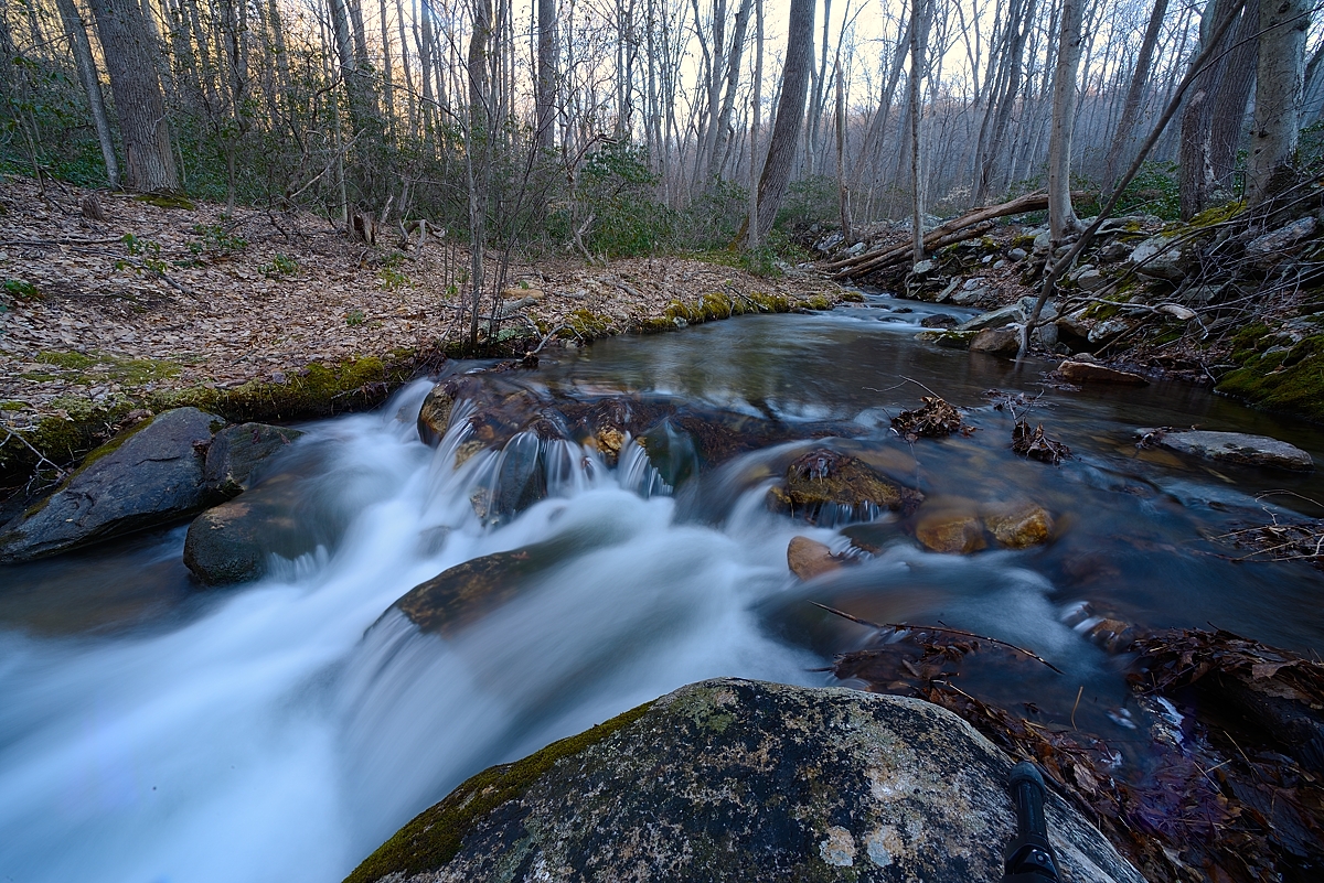 Things That Don't Shoot Back Catoctin Mountain Bug Safari