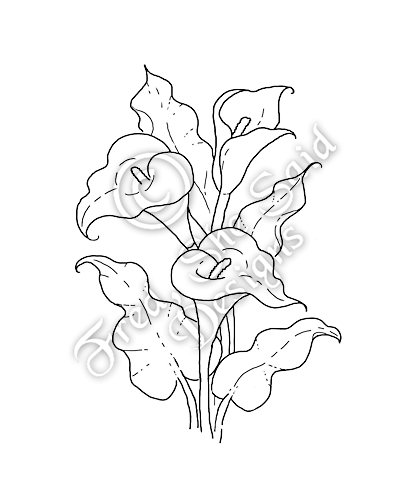 calla lillies coloring pages - photo #25