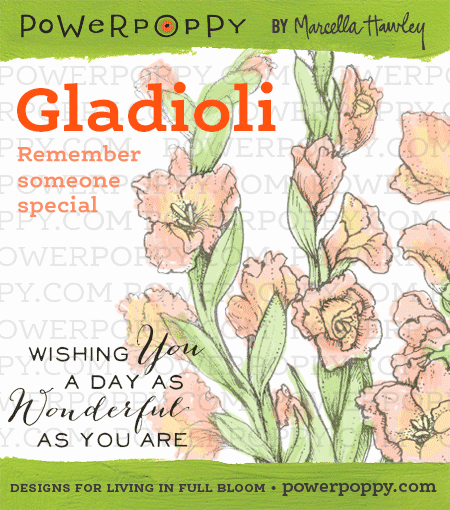 http://powerpoppy.com/products/gladioli/