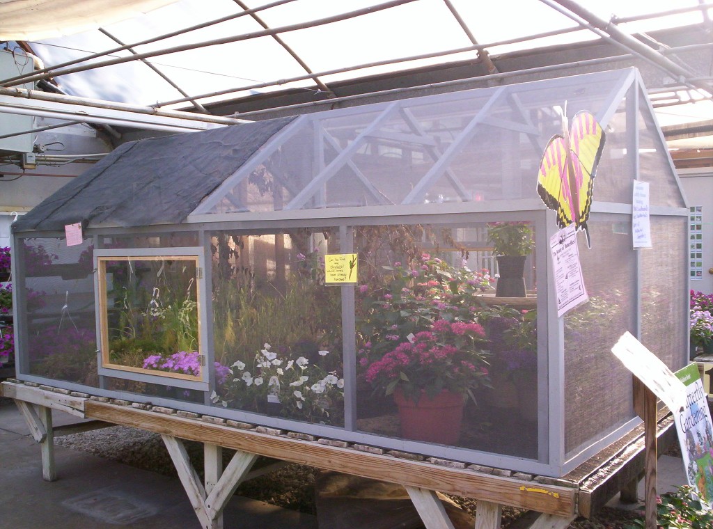 Farm and Greenhouses THE BEAUTY OF BUTTERFLIES
