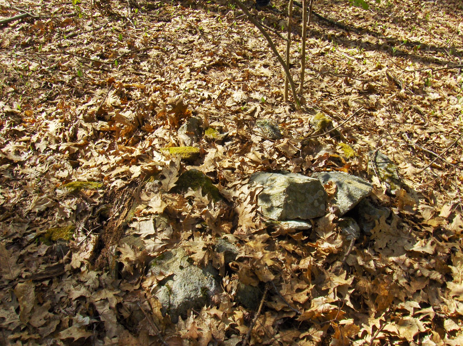 Rock Piles A note about the southern slopes of Merrill Hill along