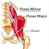 PSOAS Major