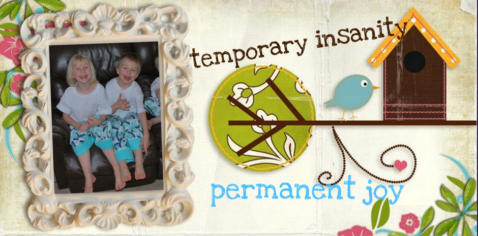 Temporary Insanity, Permanent Joy