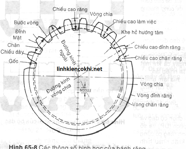 Thông số hình học của bánh răng - Bánh răng 2016