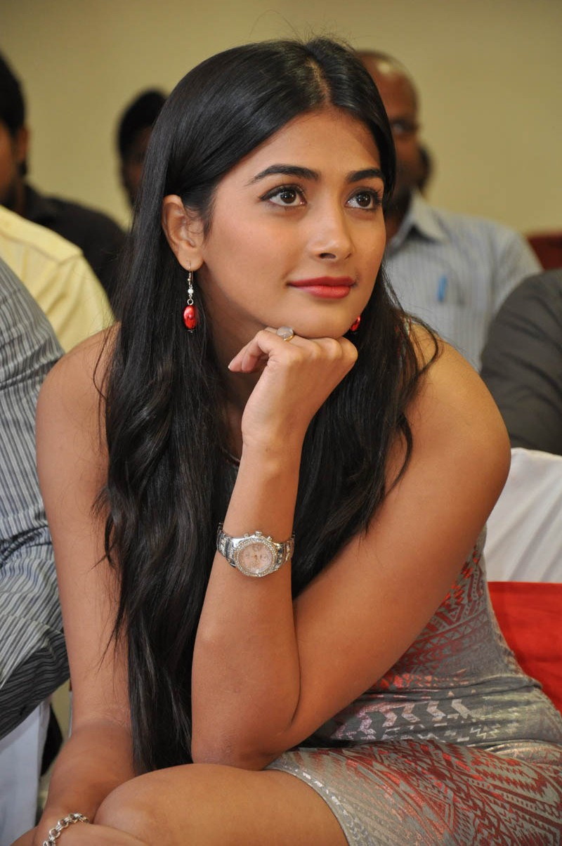 Mohenjo Daro Movie Actress Pooja Hegde Images And HD Wallpapers | Wiki