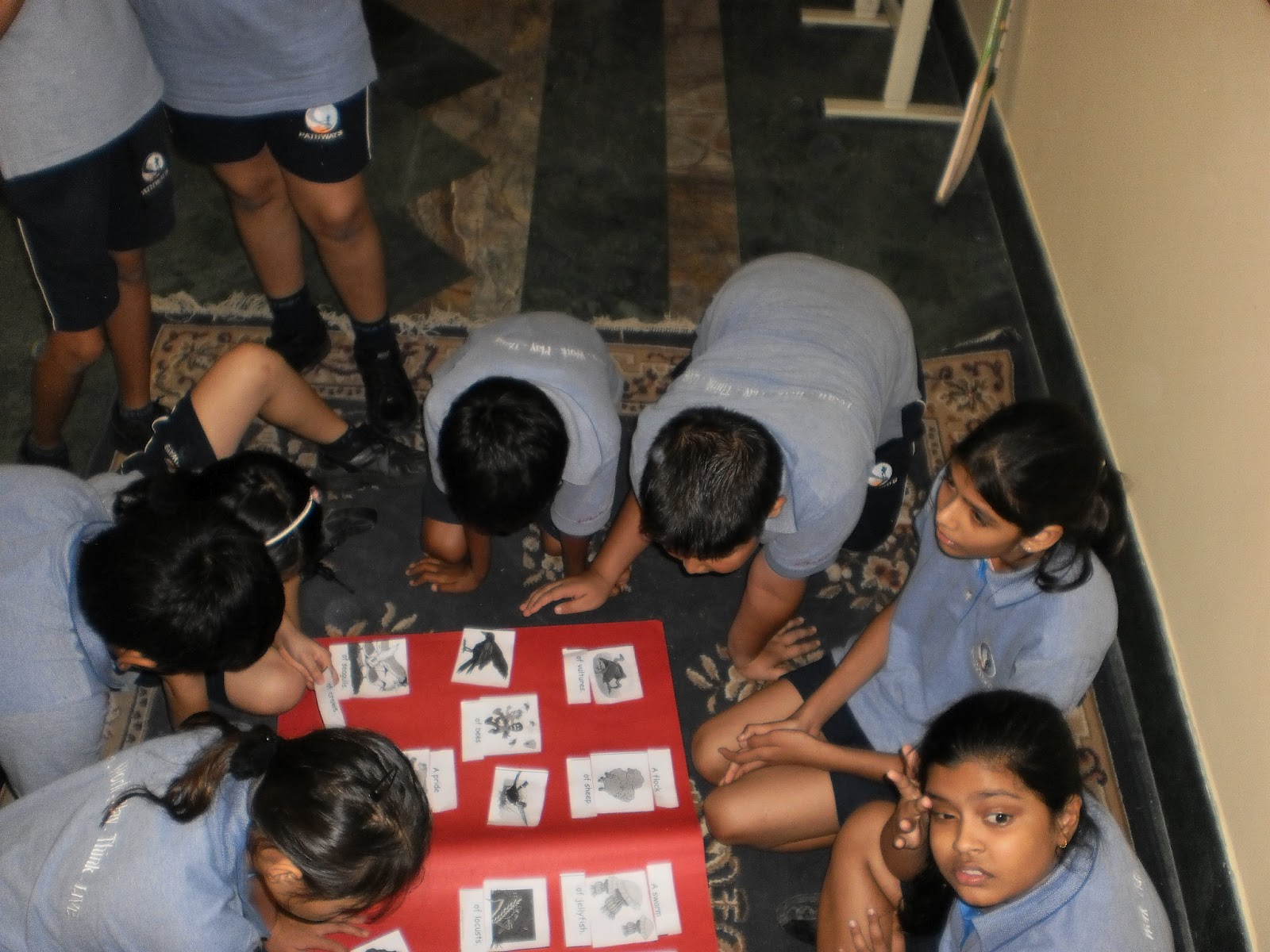 Ms. Shelly's Classroom: A Collective of Nouns