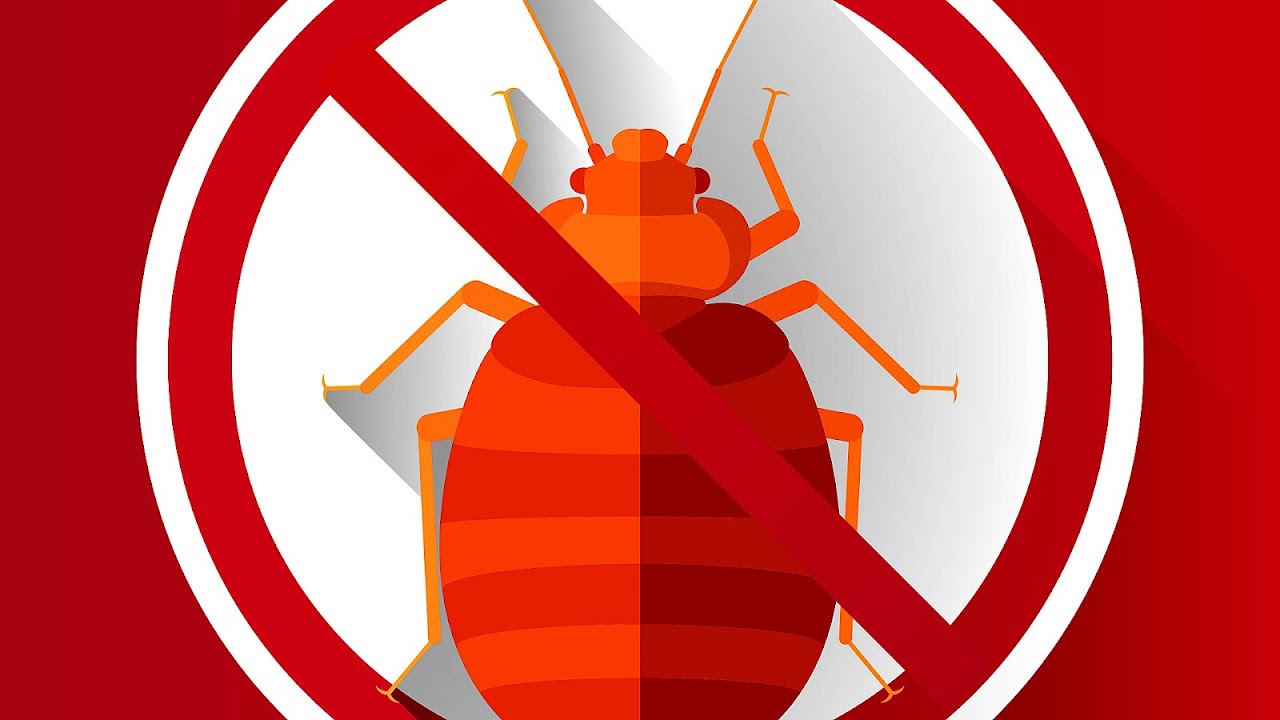 Brandon Pest Control Brandon Fl Brand Choices