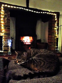 Cat sleeping in front of a fire, with fairylights around it.
