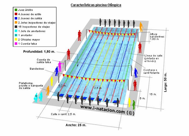 Natacion: Como es una piscina olimpica