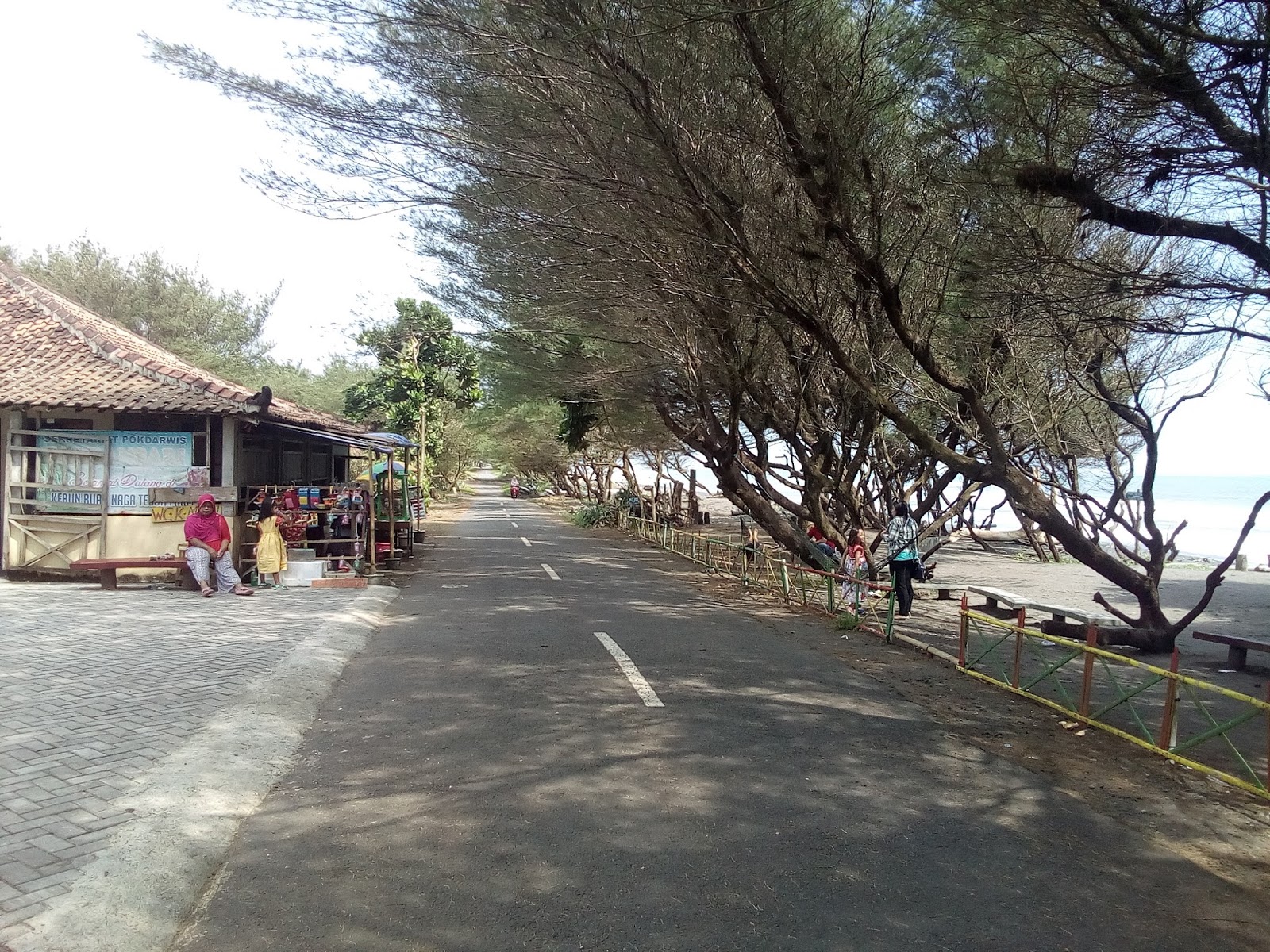 Wisata Pantai Bantul Pantai Pandansari Paket Wisata Pantai