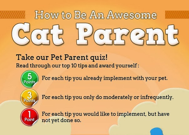 Image: How To Be An Awesome Cat Parent