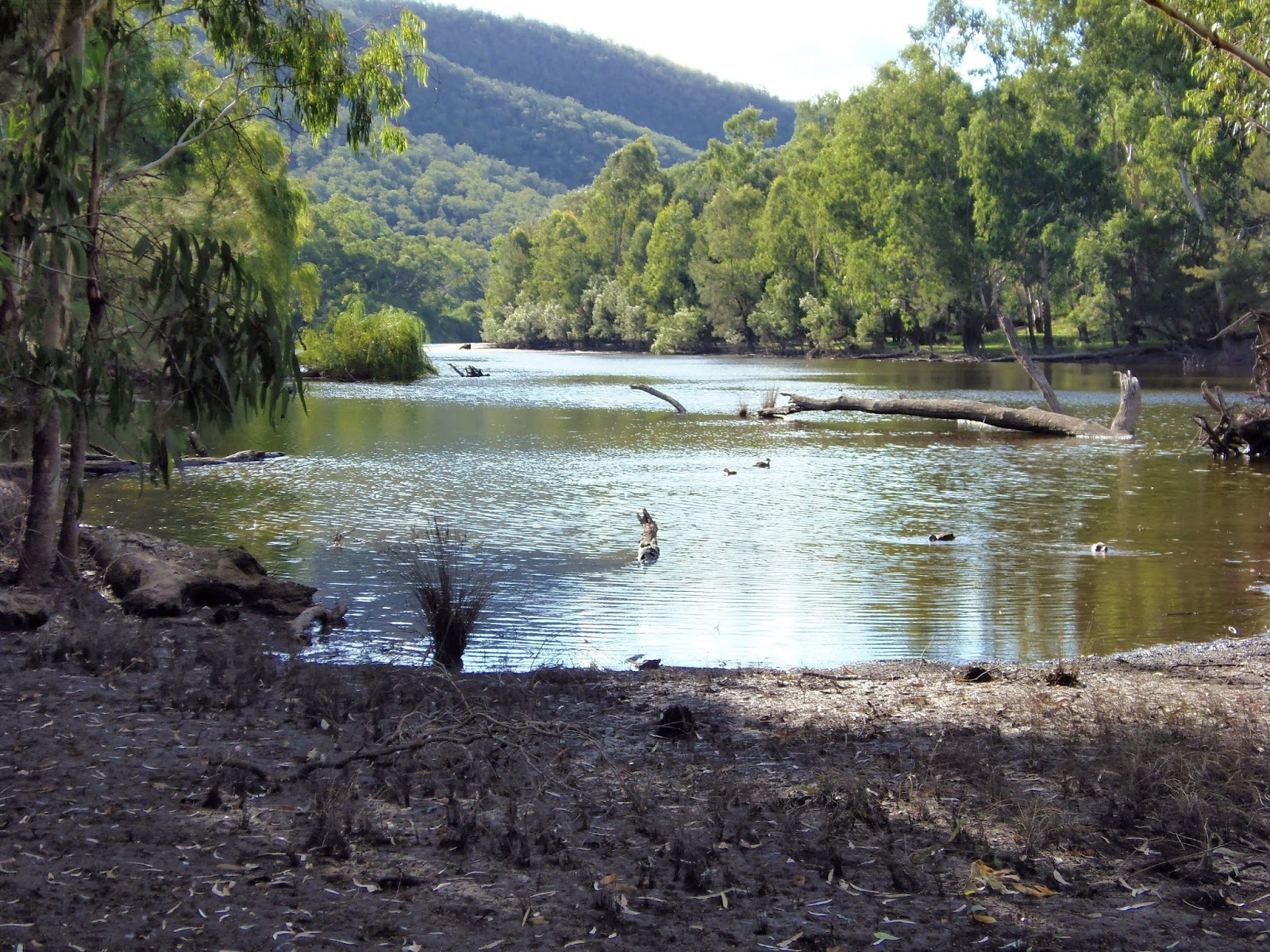 Solo Steve On The Road BEAUTIFUL BINGARA NSW REVISITED
