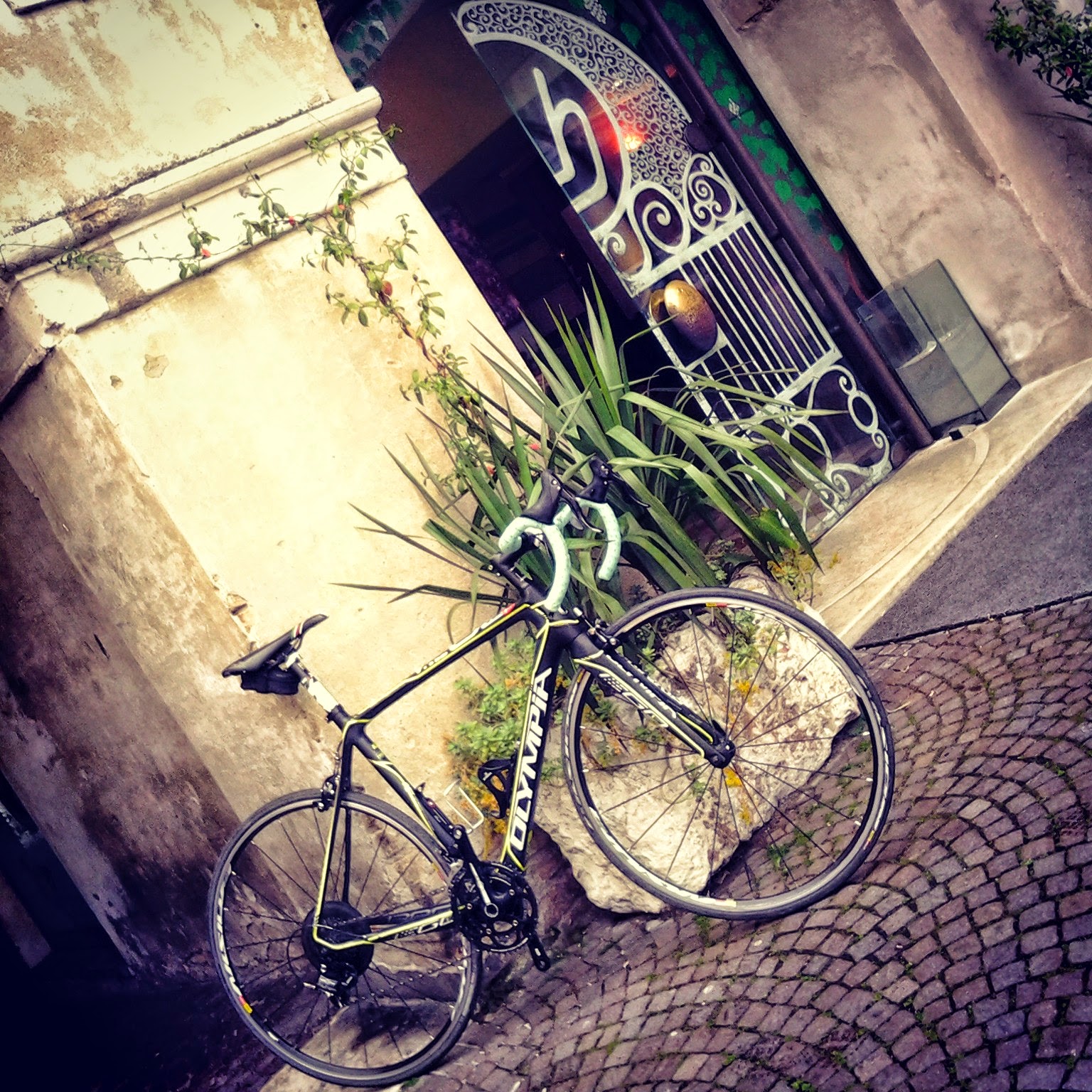 road bike rental in treviso