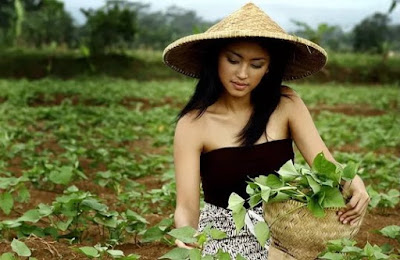 7 Peluang Usaha Malam Hari di Pedesaan yang Potensial dan Menjanjikan