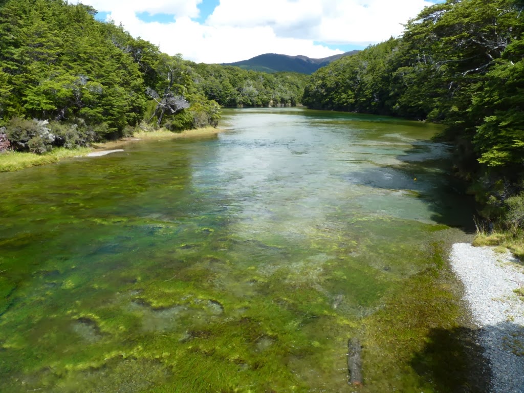 крупные реки новой зеландии. новая зеландия реки и озера. крупные реки новой зеландии. река шотовер в новой зеландии. новая зеландия река уаикато.