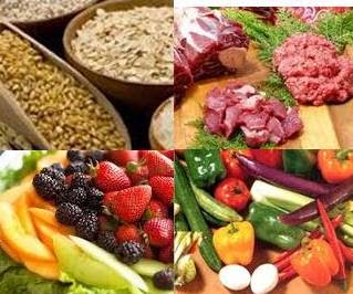 Raw Dog Food Ottawa Raw Dog Food Ottawa