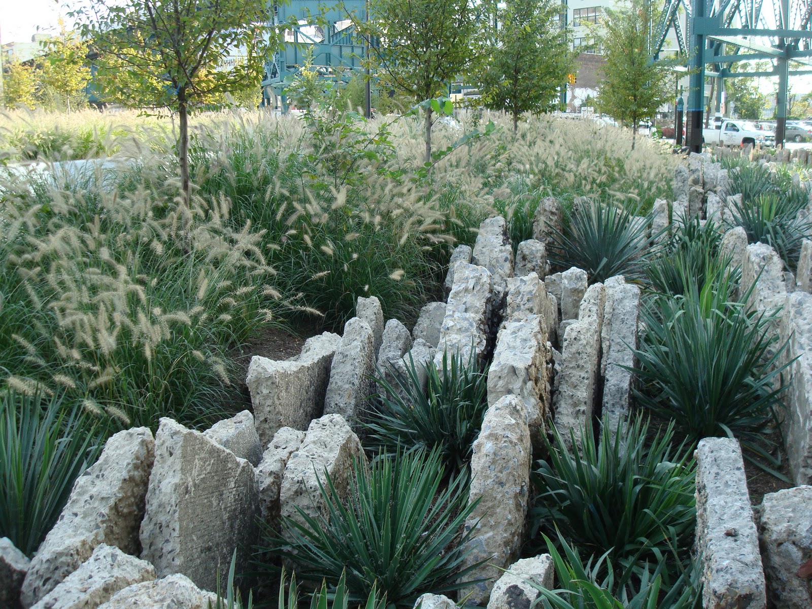 DSC04271.JPG?fbclid=IwAR2zWINX_ikgPGoJPZhxNrEJIR8IM6s-ckwtRlDic1DMgc3UYO3lzMIKBww