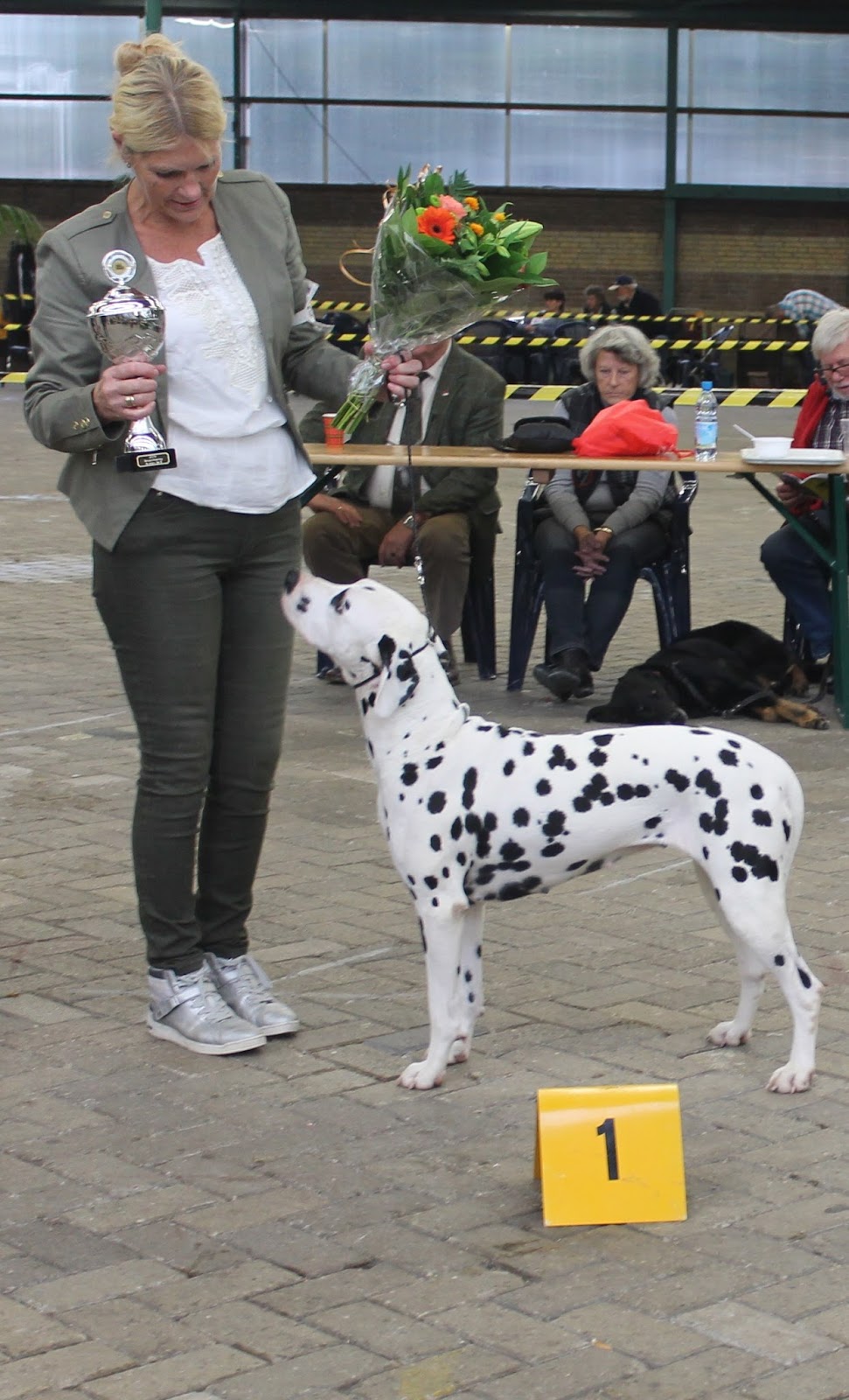 Indian Dogs Breeder Competition Results