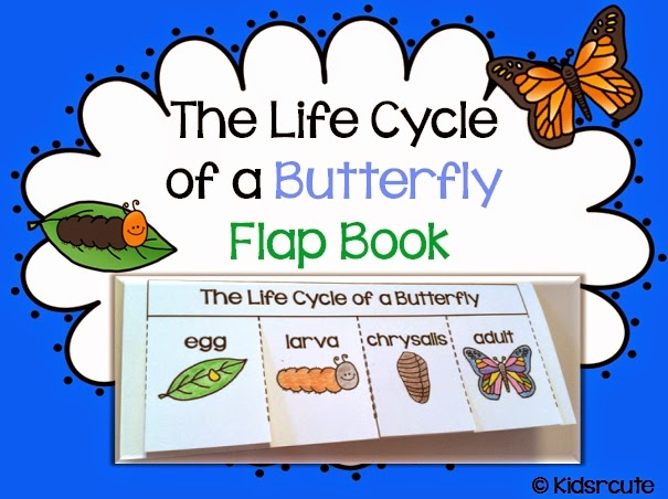 Life Cycles in the Classroom and a Giveaway