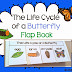 Life Cycles in the Classroom and a Giveaway