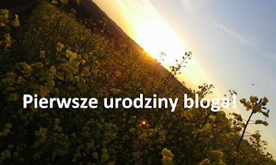 Pierwsze urodziny bloga! 