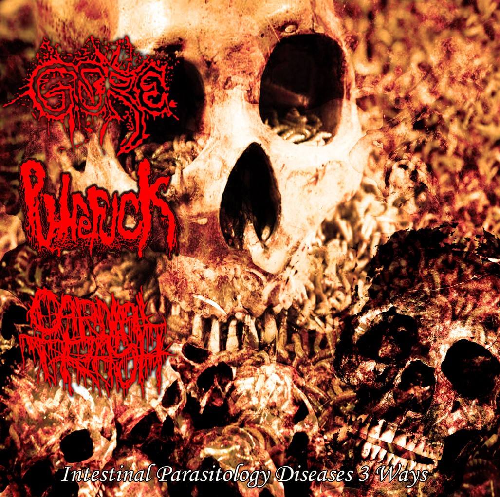 Lymphatic sexual orgy records good guys go grind