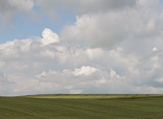 Pola nad Jarnołtowem. Pola nad Jarnołtowem.