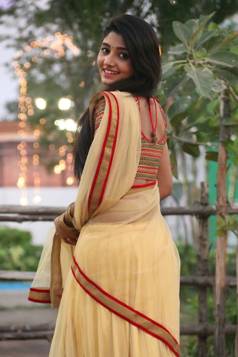 Adhiti Menon in transparent saree