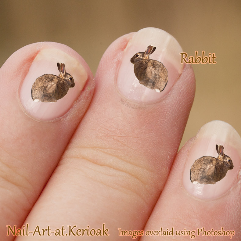 Rabbit nail ideas!