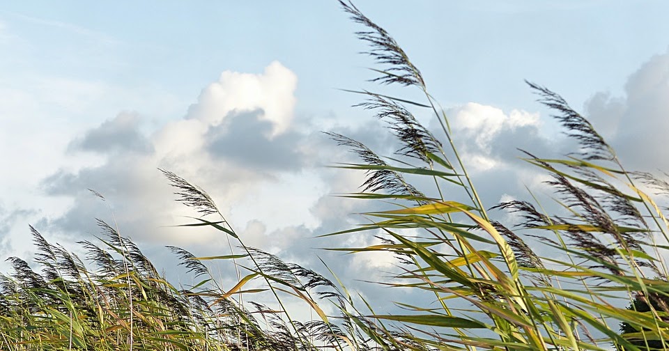 Apakah yang dimaksud dengan sistem tata surya