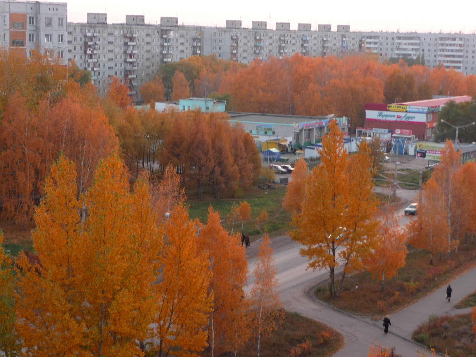 Осенний Омск