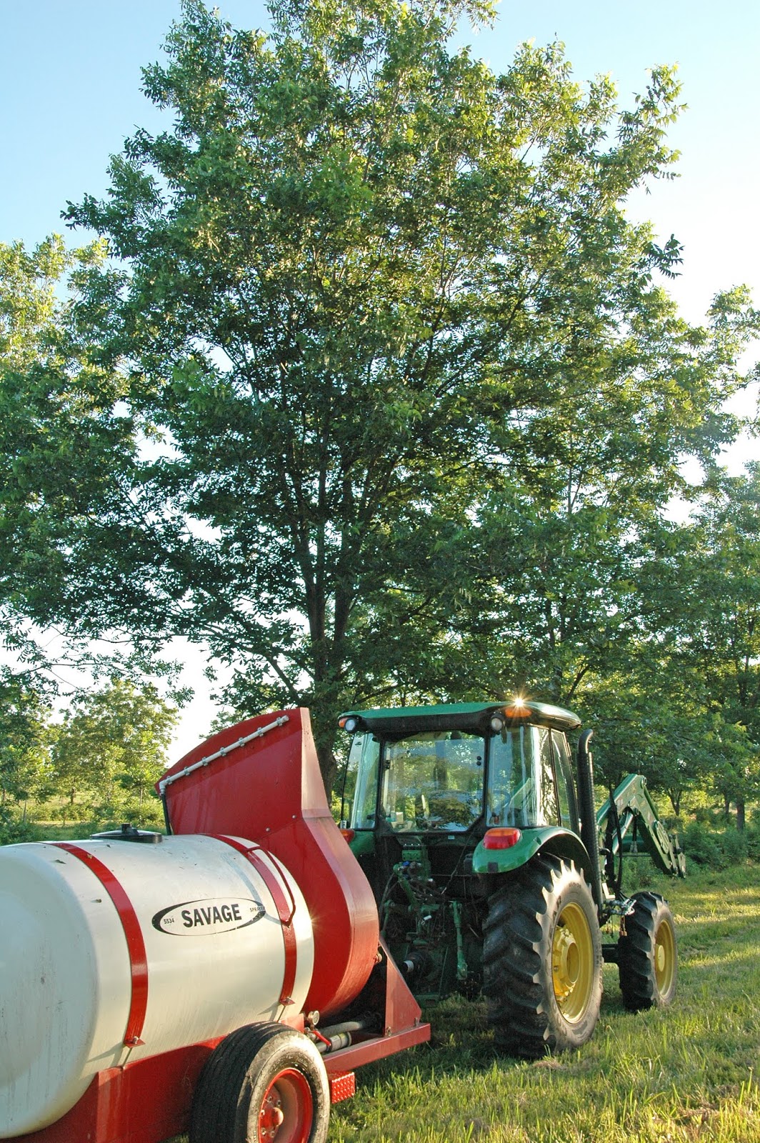 Northern Pecans Second scab spray