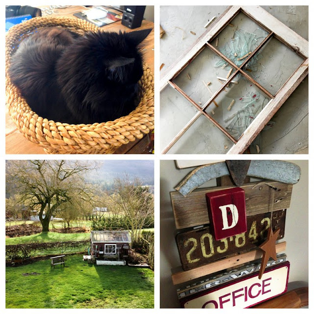 cat-basket-broken-old-window-sunshine-outdoors-project-fail-Instagram-Update-6-Funky-Junk-Interiors cat-basket-broken-old-window-sunshine-outdoors-project-fail-Instagram-Update-6-Funky-Junk-Interiors