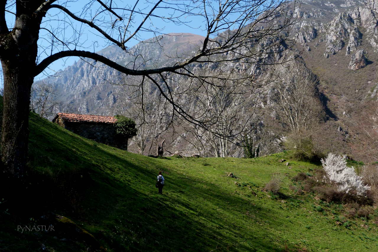 Collado Semeldón - Parque Natural de Ponga Collado Semeldón - Parque Natural de Ponga