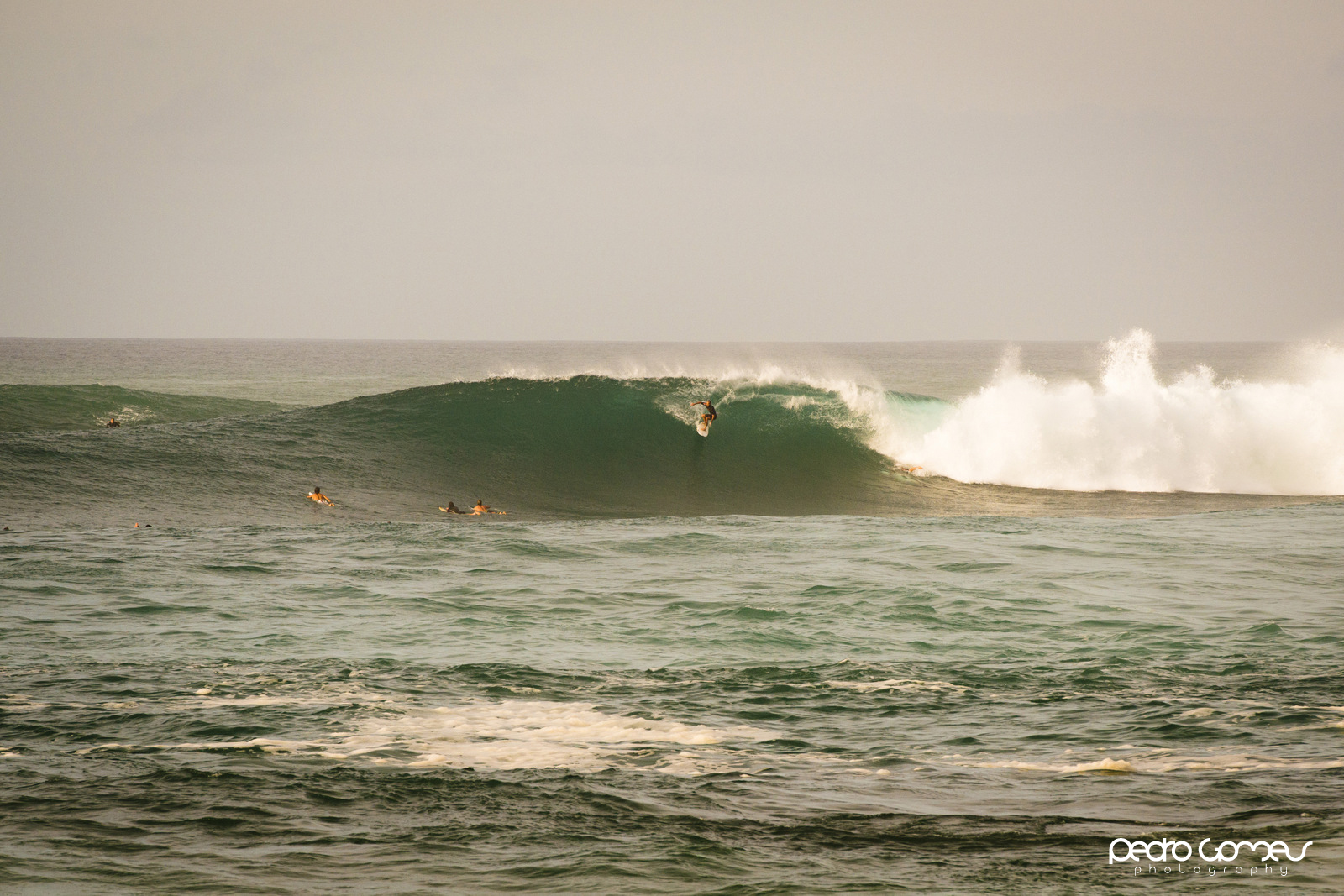 Best Wave Report North Shore The Surf Check
