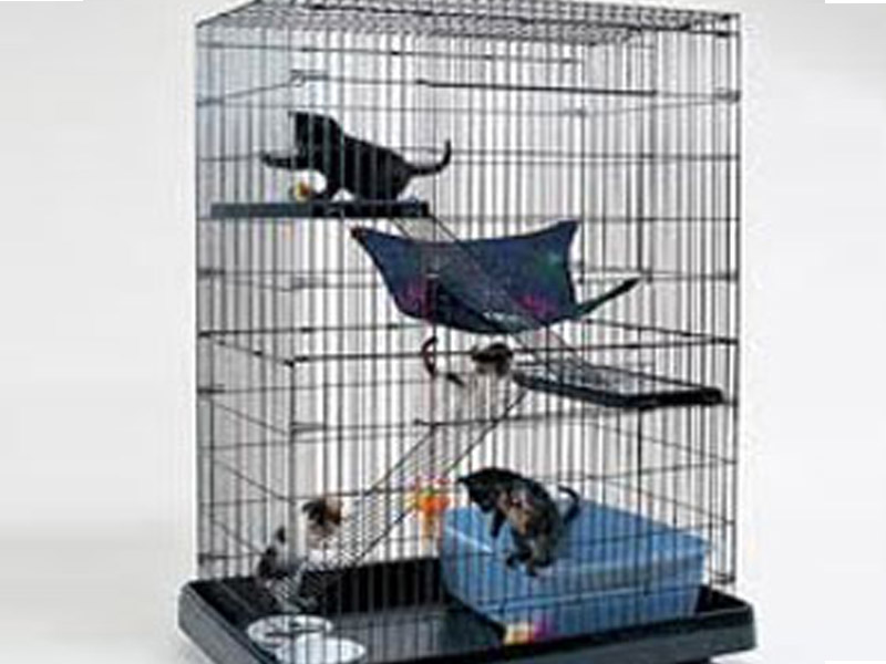 Kandang kucing yang baik bisa kita buat sendiri Kucing gue Kandang kucing yang baik bisa kita buat sendiri Kucing gue